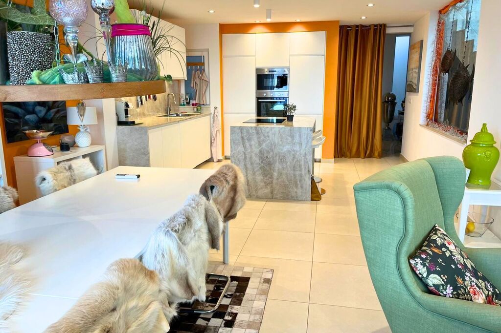 Madliena-bright-proeprty-for-rent-Christies-Malta