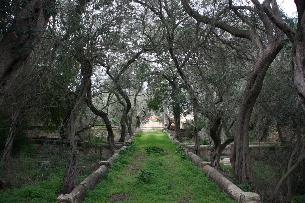 Zebbug, Unconverted Palazzo's Image 6
