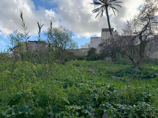 P_001891_Zebbug-palazzo-for-sale