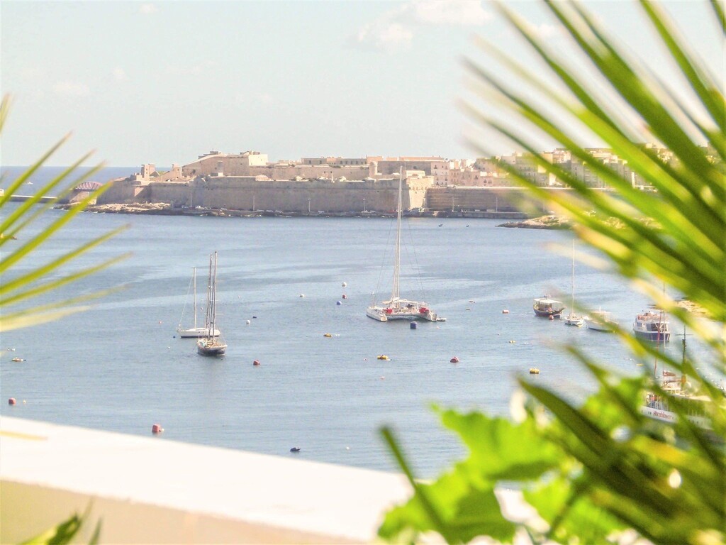 P_001940_6.jpg