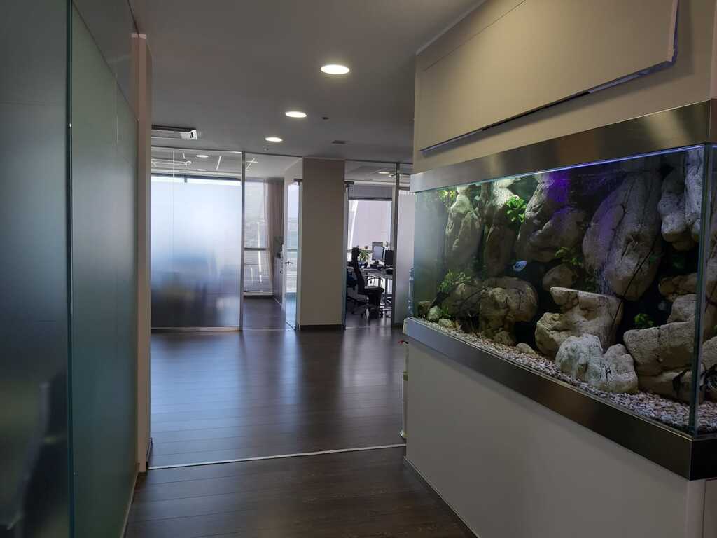 Portomaso, Fully Equipped Office's Image 3