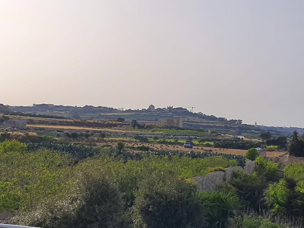 Siggiewi Furnished Detached Villa's Image 6