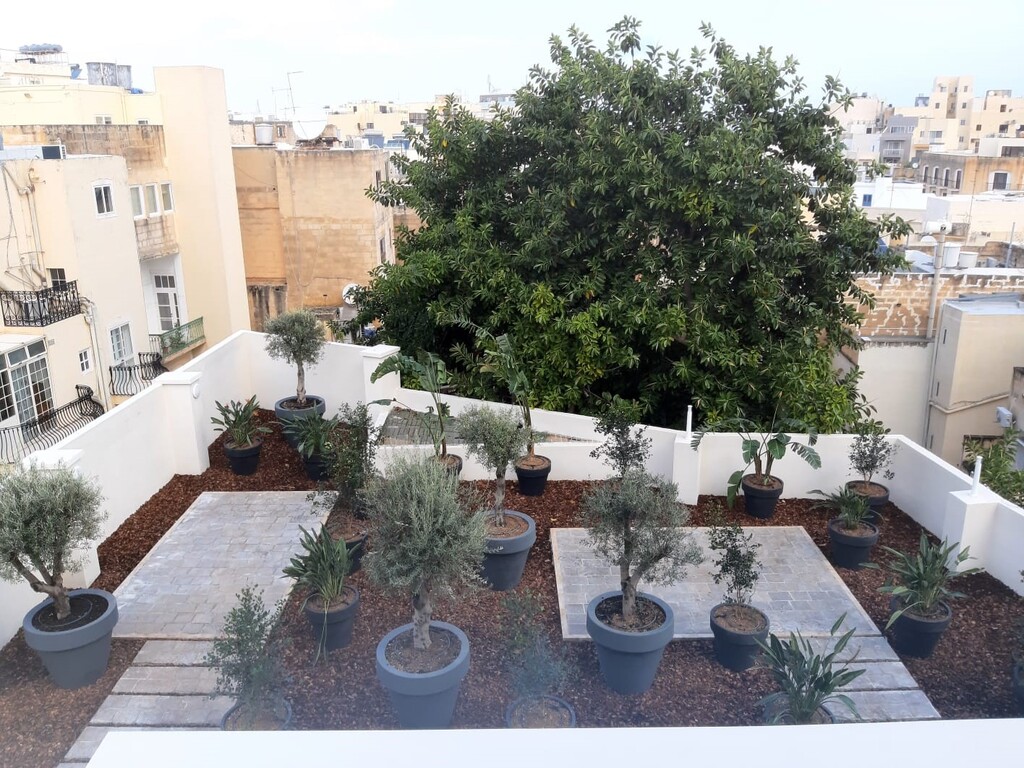 P_005550_sliema-apartment-to-let