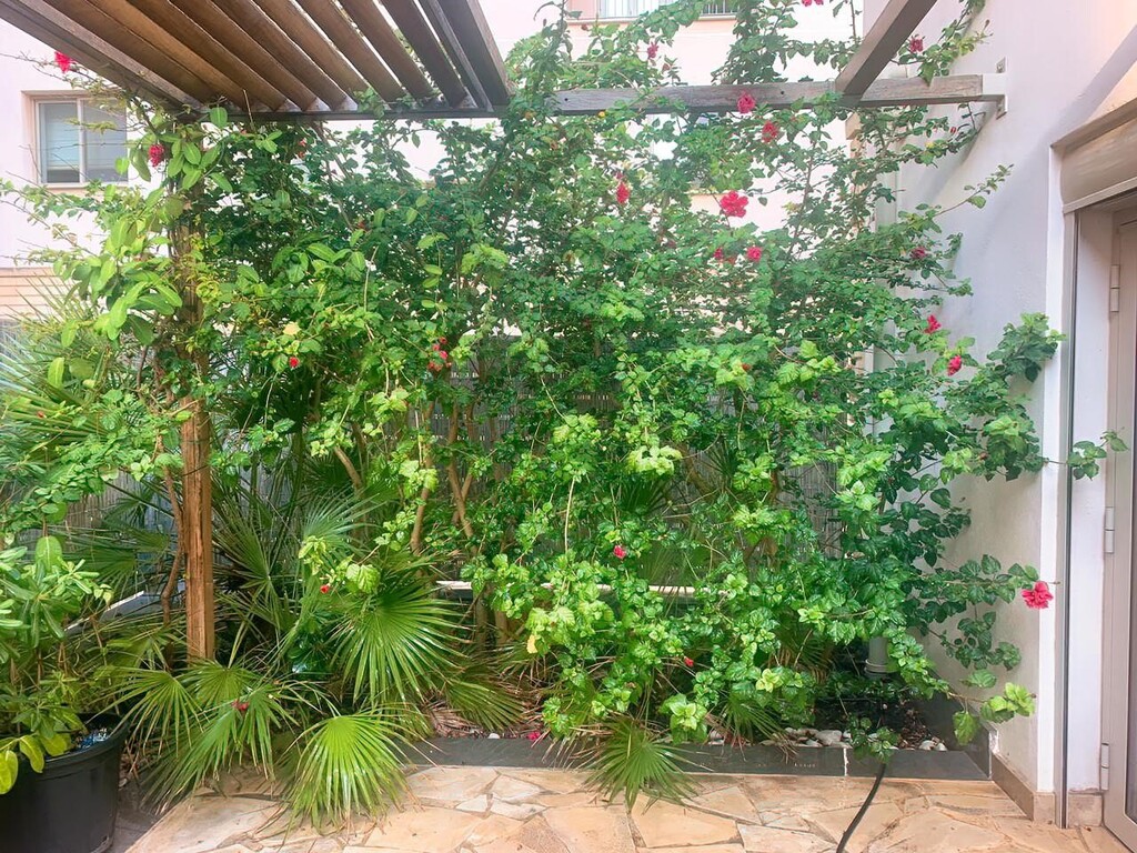 Tigne Point, Furnished Apartment's Image 17