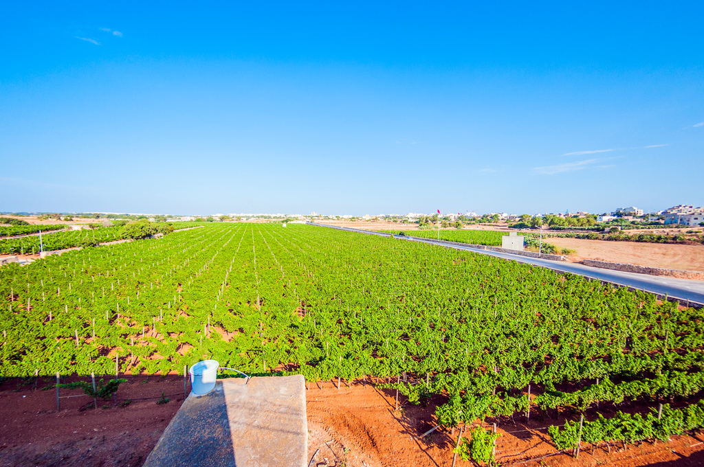 P_005627_Marsaxlokk-farmhouse-to