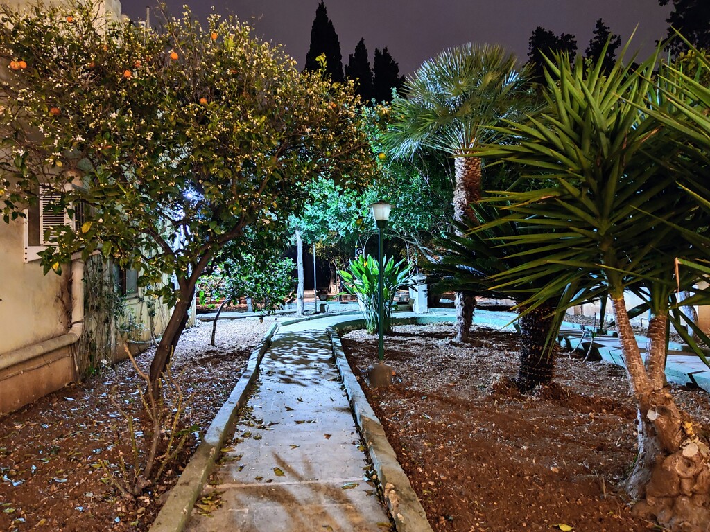 P_005955_Mosta-villa-to-let-15.j