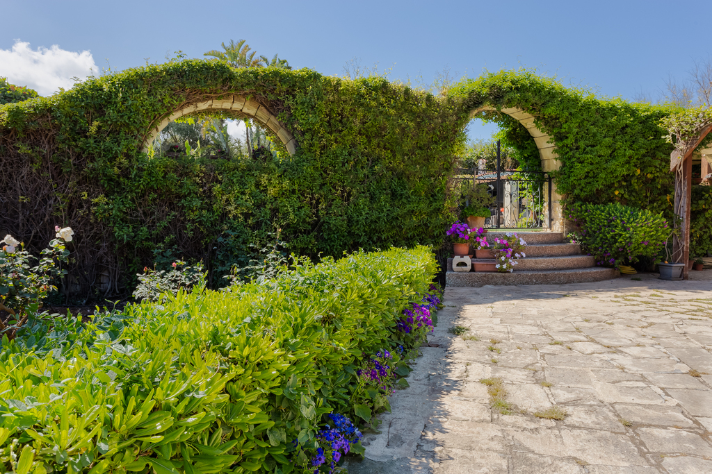 Madliena, Converted House of Character's Image 3