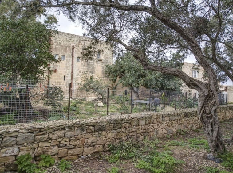 P_006056_Qormi-farmhouse-to-let-