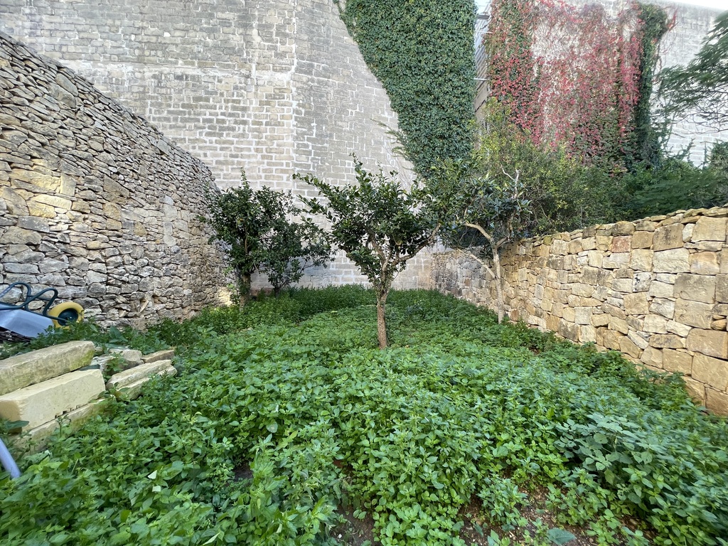 Balzan, Furnished Town House's Image 6