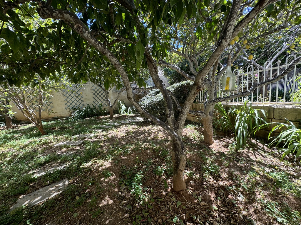 Attard Finished Villa's Image 7