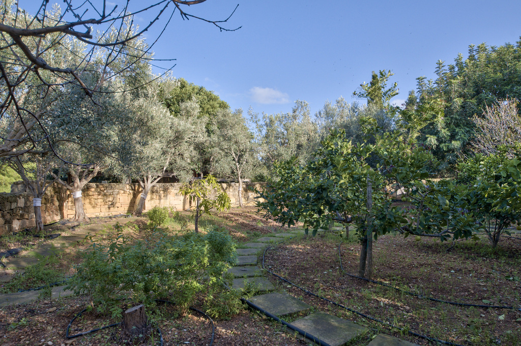 Gharghur Estate's Image 12