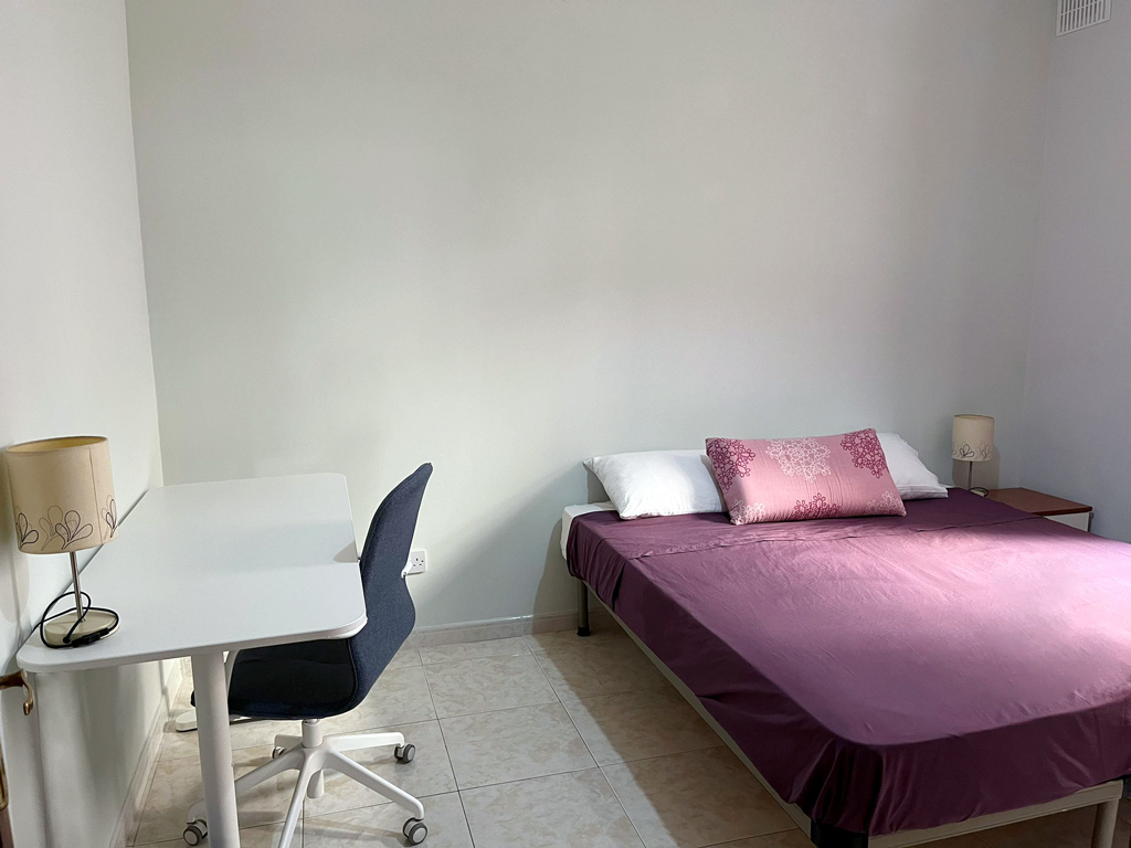 Sliema Furnished Apartment's Image 3