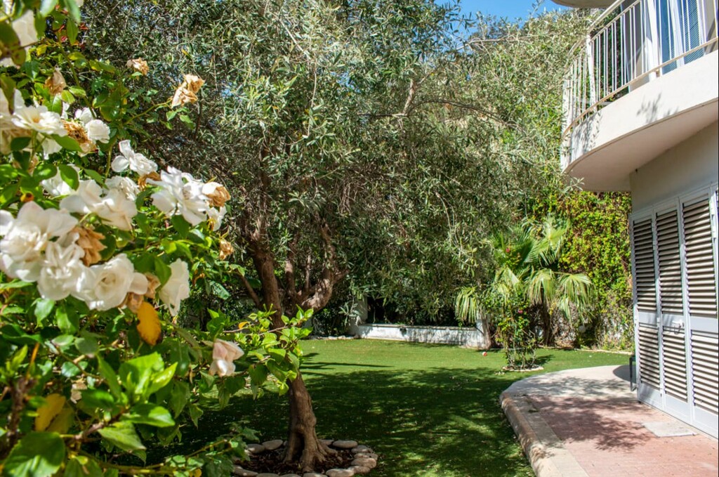 Malta-villa-to-let-property-with-garden-christie's-malta