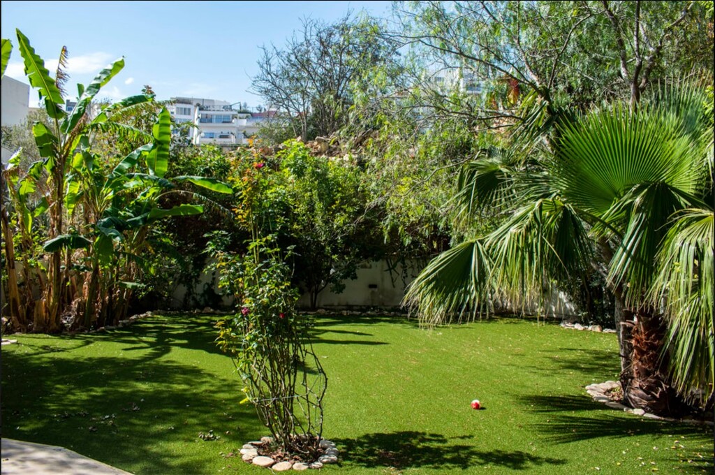 St.Julians-villa-to-let-pet-friendly-christie's-malta