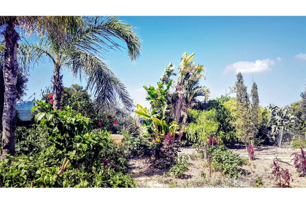 San Lawrenz (Gozo) Furnished Farmhouse's Image 17