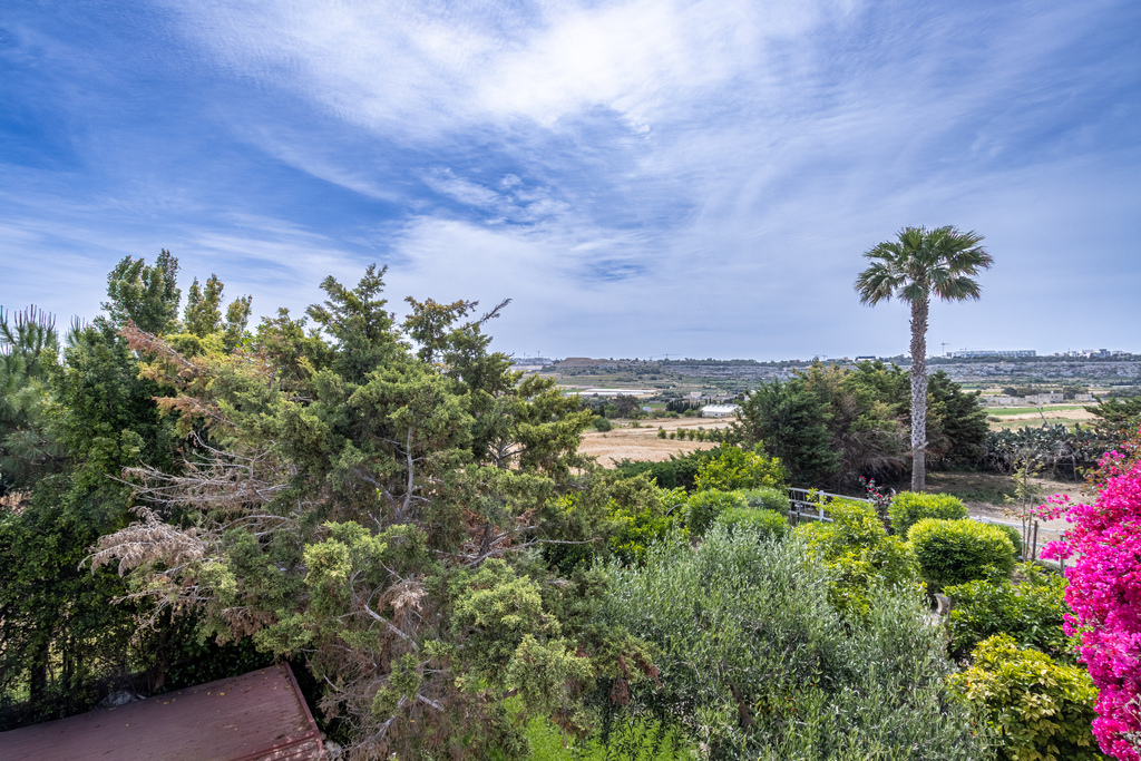 Country Estate's Image 21