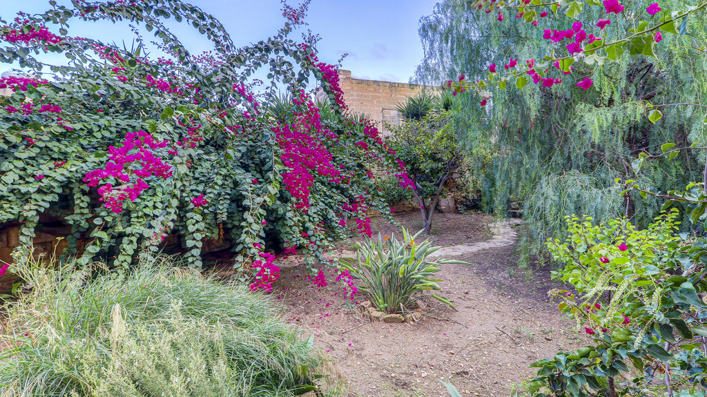 Zabbar Converted House of Character's Image 10