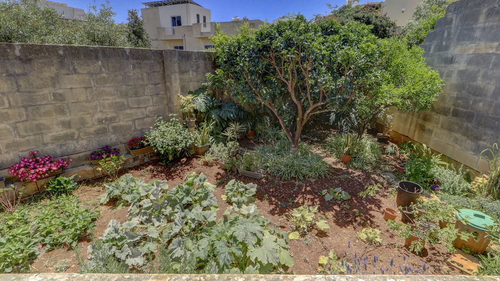 St Julians Finished Detached Villa's Image 6