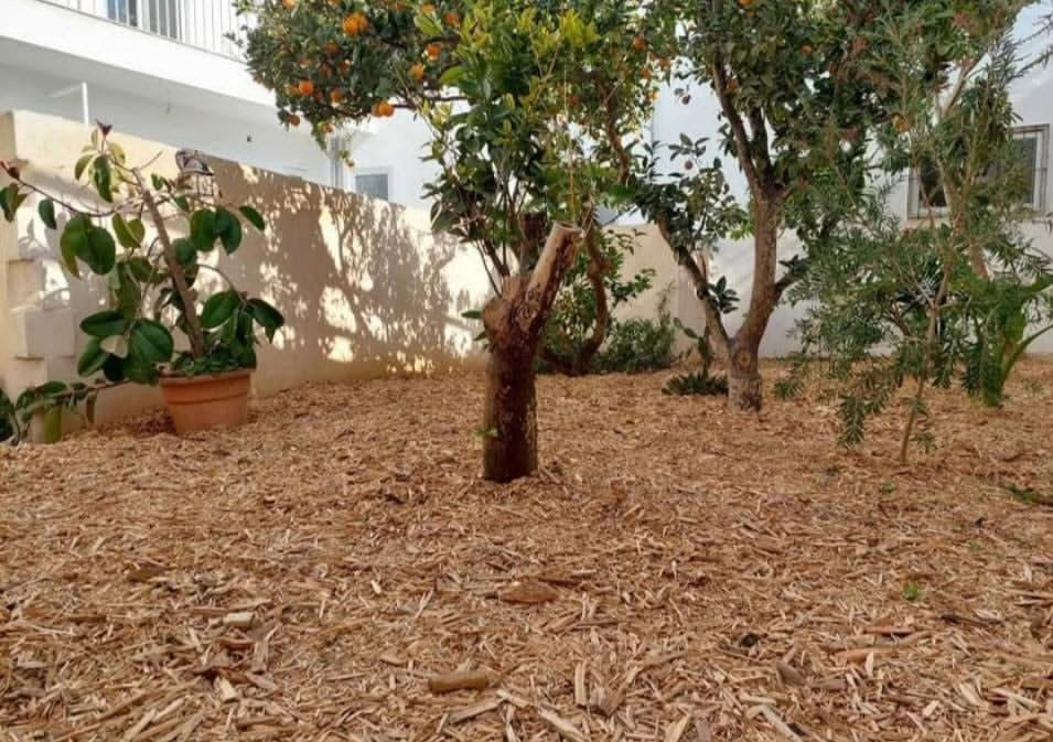 Birkirkara Furnished Town House's Image 2